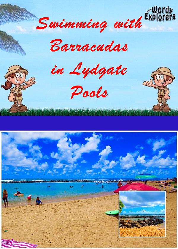 Swimming with Barracudas in Lydgate Pools