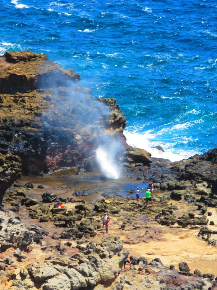 Northwest Maui: Natural Beauty and Snorkeling with Honu