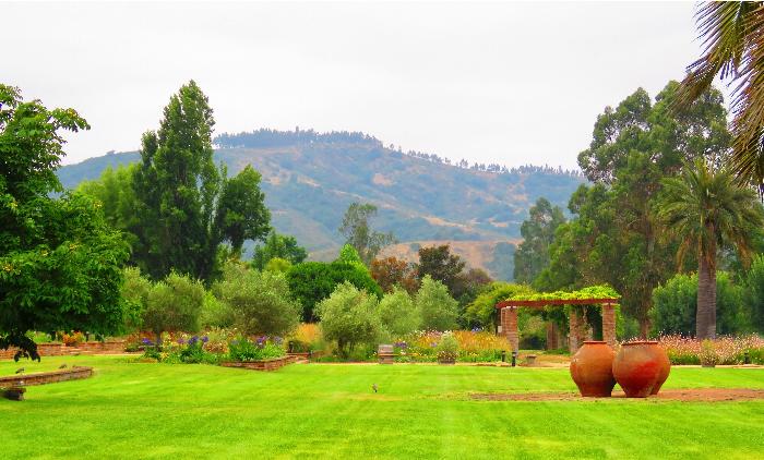 Grounds of Matetic Vineyards
