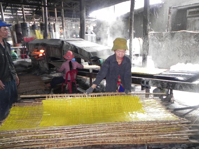 Inside the Rice Paper Making Factory