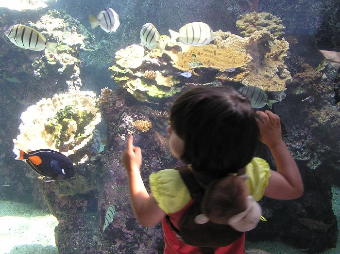 Kids Love Maui Ocean Center
