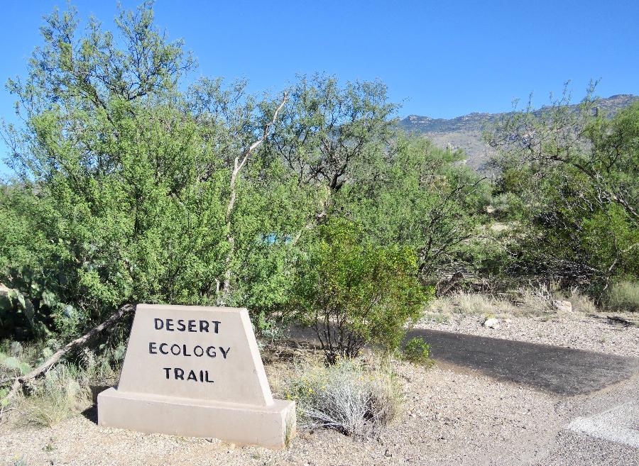 Trailhead for Desert Ecology Trail