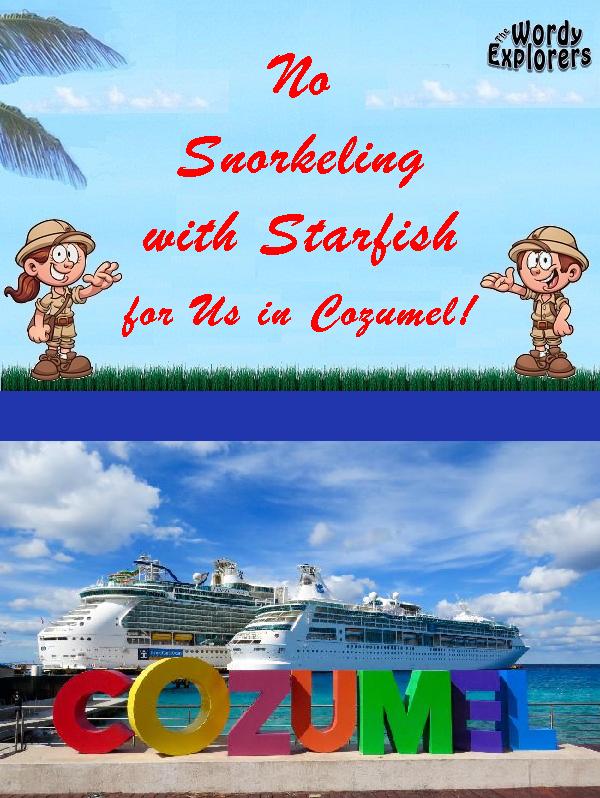 No Snorkeling with Starfish for Us in Cozumel!