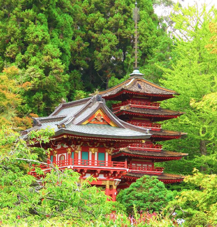 Japanese Tea Gardens