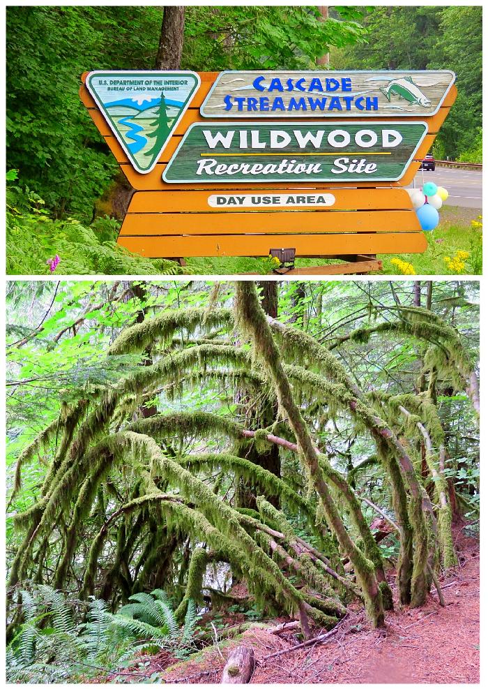 Wildwood Recreation Site