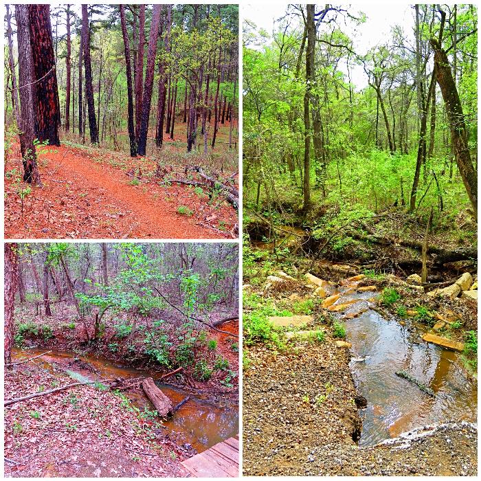 Hiking in Tyler State Park