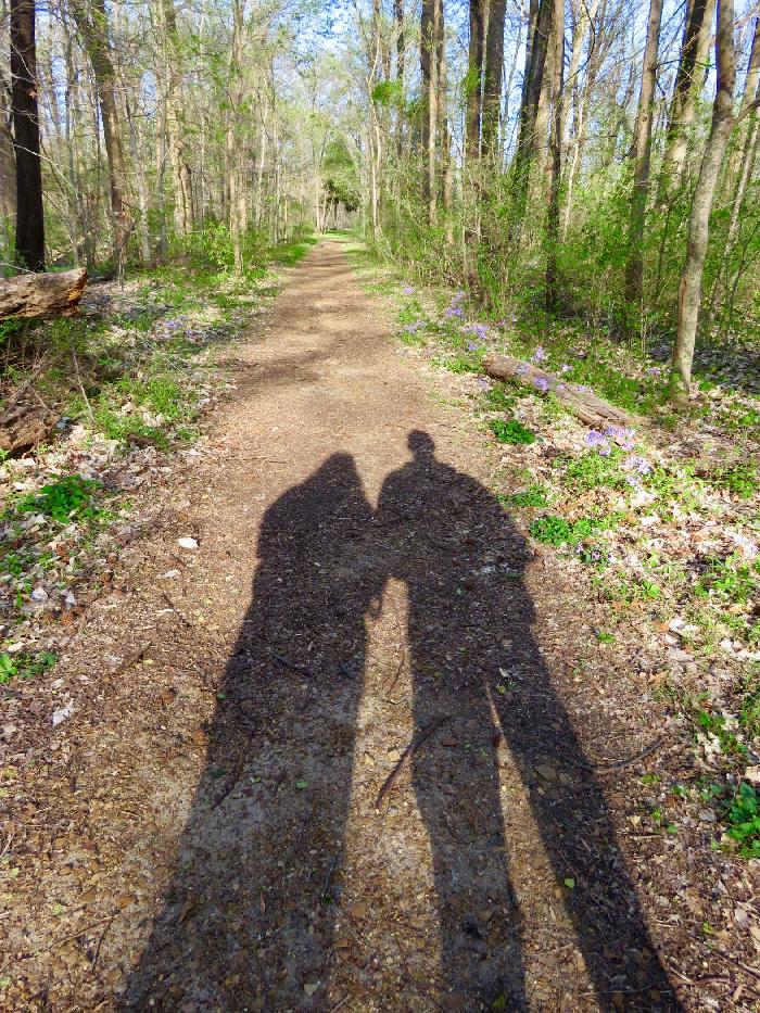 Following our Shadows in Meeman-Shelby Forest State Park
