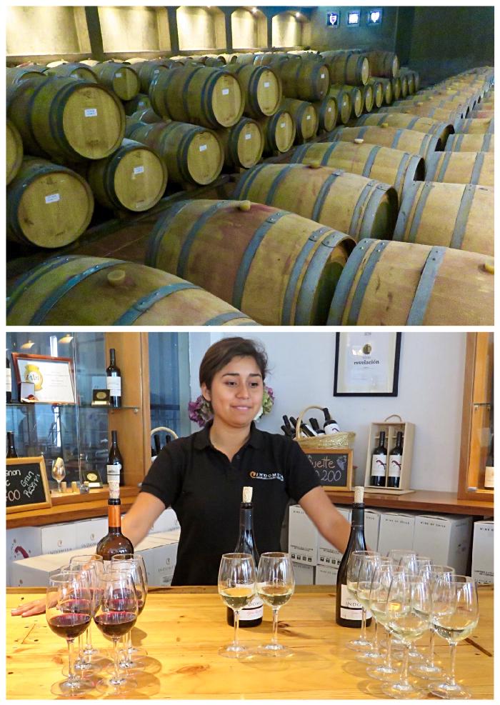 Barrel Room (top) and Wine Tasting at Vina Indomita