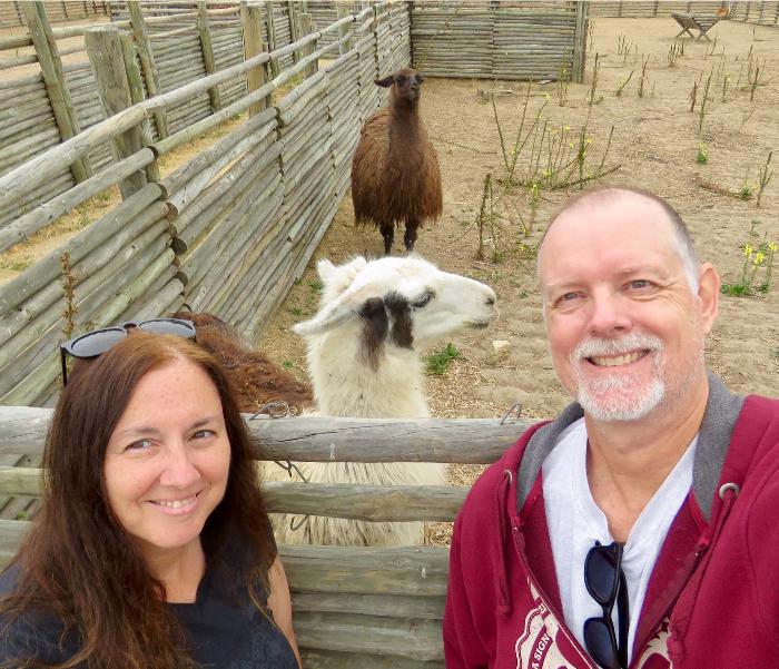 A Selfie with the Llamas at Rio Tinto Casablanca