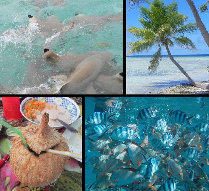 French Polynesia: The Best Snorkeling Ever!