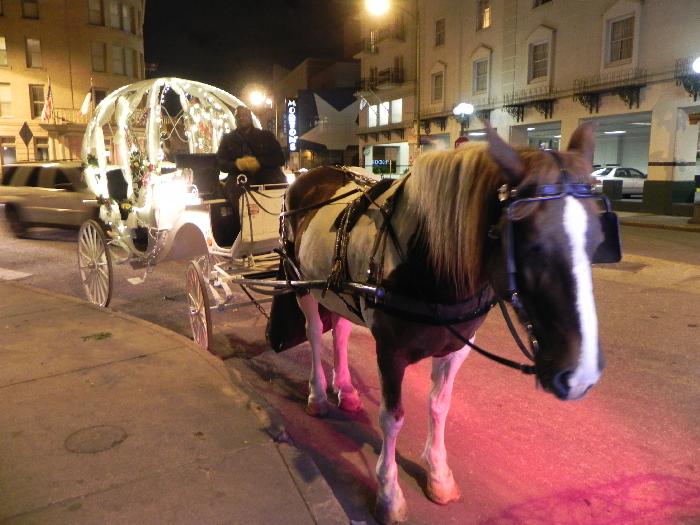 Nighttime Carriage Rides