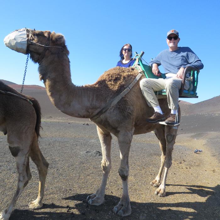 Camel Ride in Timanfaya National Park