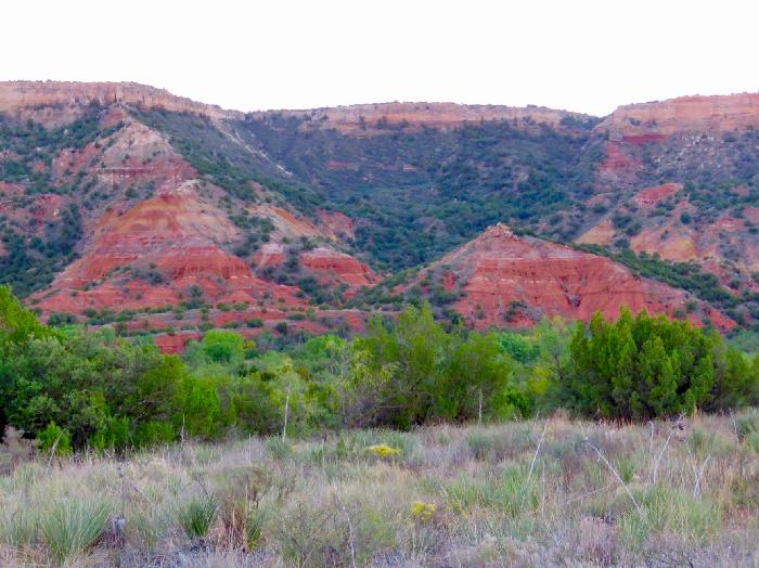 Viewing the Spanish Skirts from the Palo Duro Canyon Floor