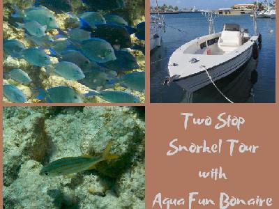 Two Stop Snorkel Tour with Aqua Fun Bonaire