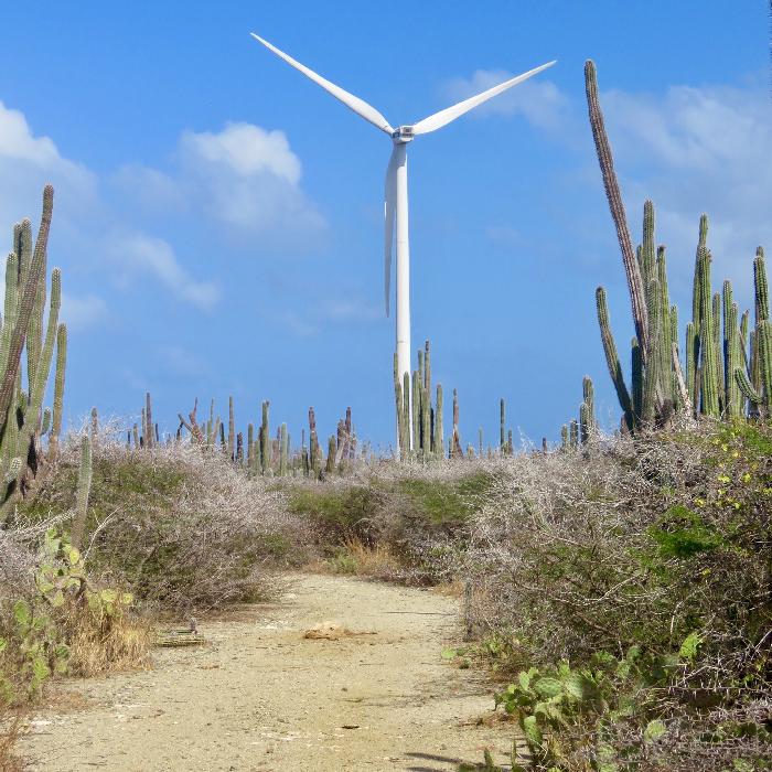 Wind Turbine near Arikok National Park