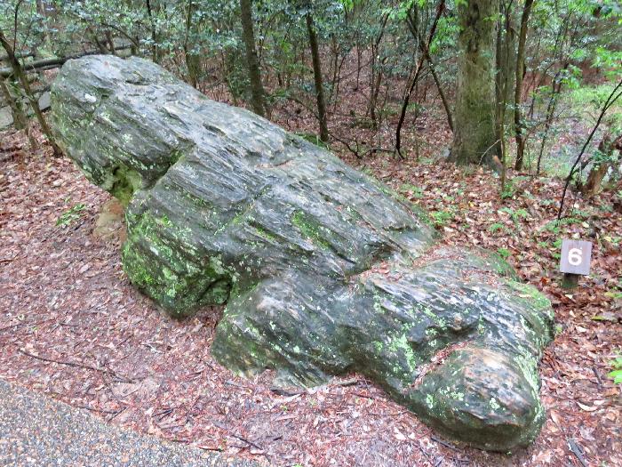 Petrified Log estimated to Weigh 14,940 Pounds