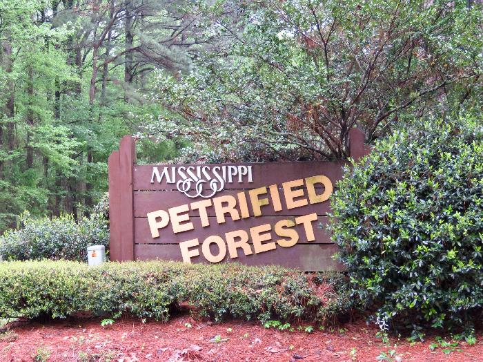 Entrance to Mississippi Petrified Forest