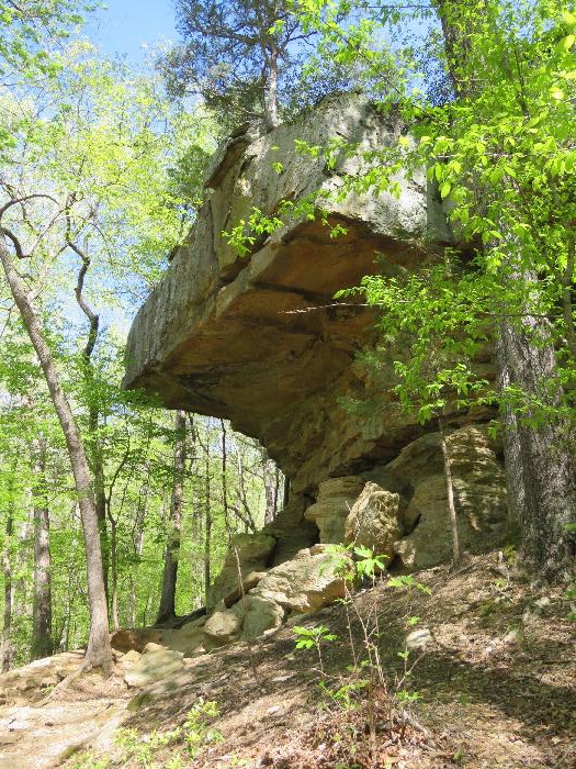 Rock Outcropping, hence the name of the Outcroppings Trail