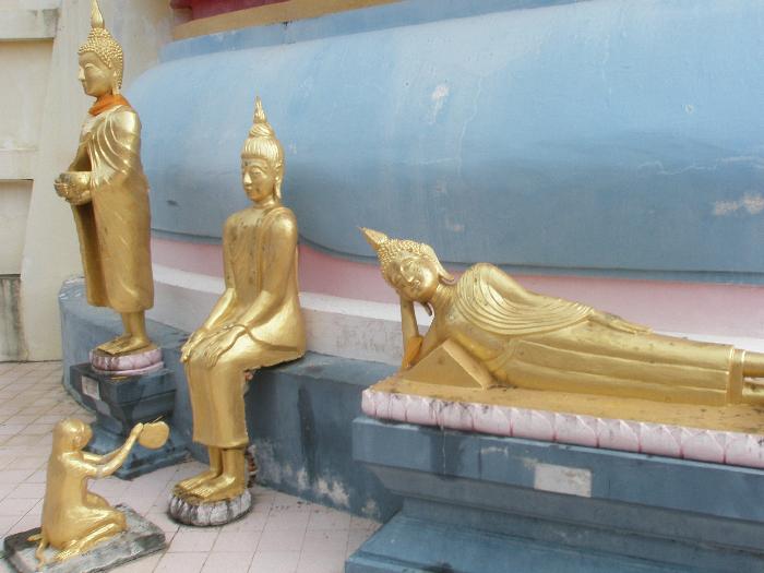 Surrounding Golden Buddhas