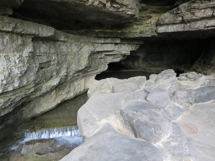 Cave Spring Hollow