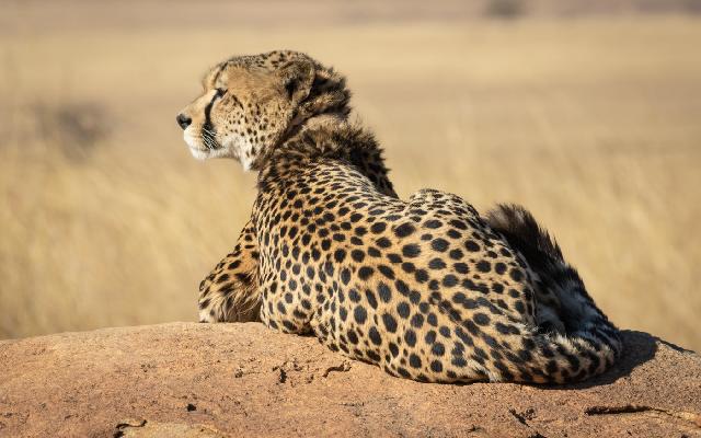 Preparing to Visit Serengeti National Park
