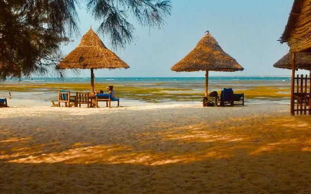 See the Best of Zanzibar