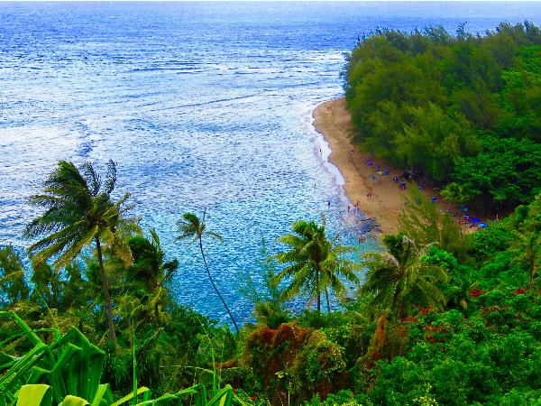 Beautiful View & Beautiful Beach on the Beautiful Kauai