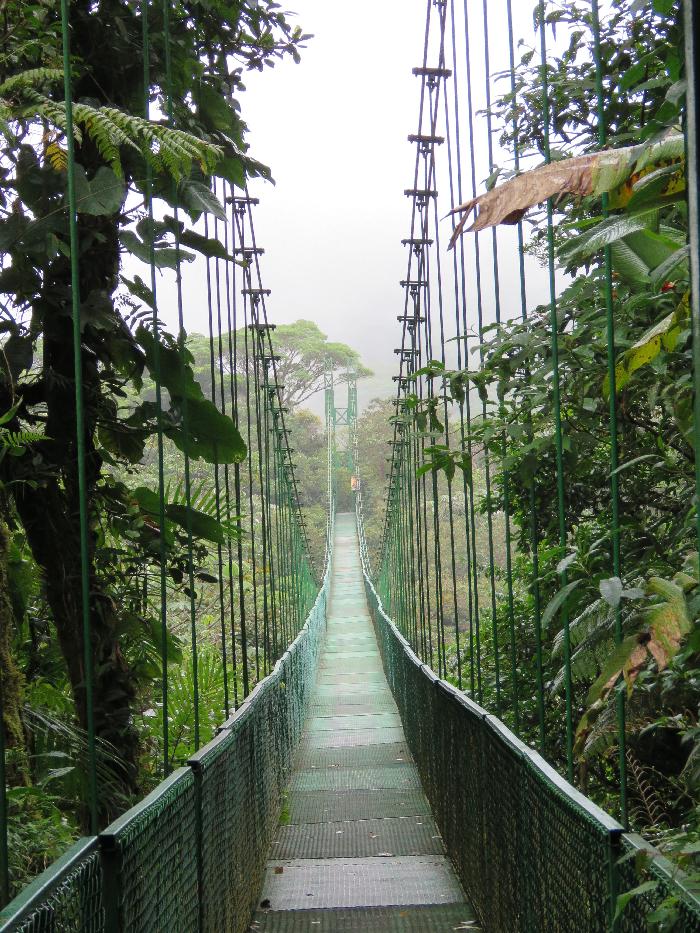 Treetop Walkway at Selvatura Park