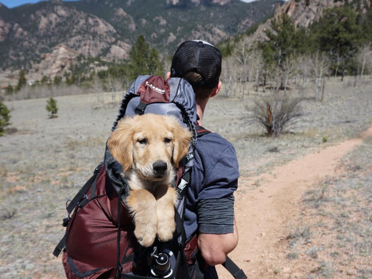Ready to Start Hiking? Check Out these Beginner Tips!
