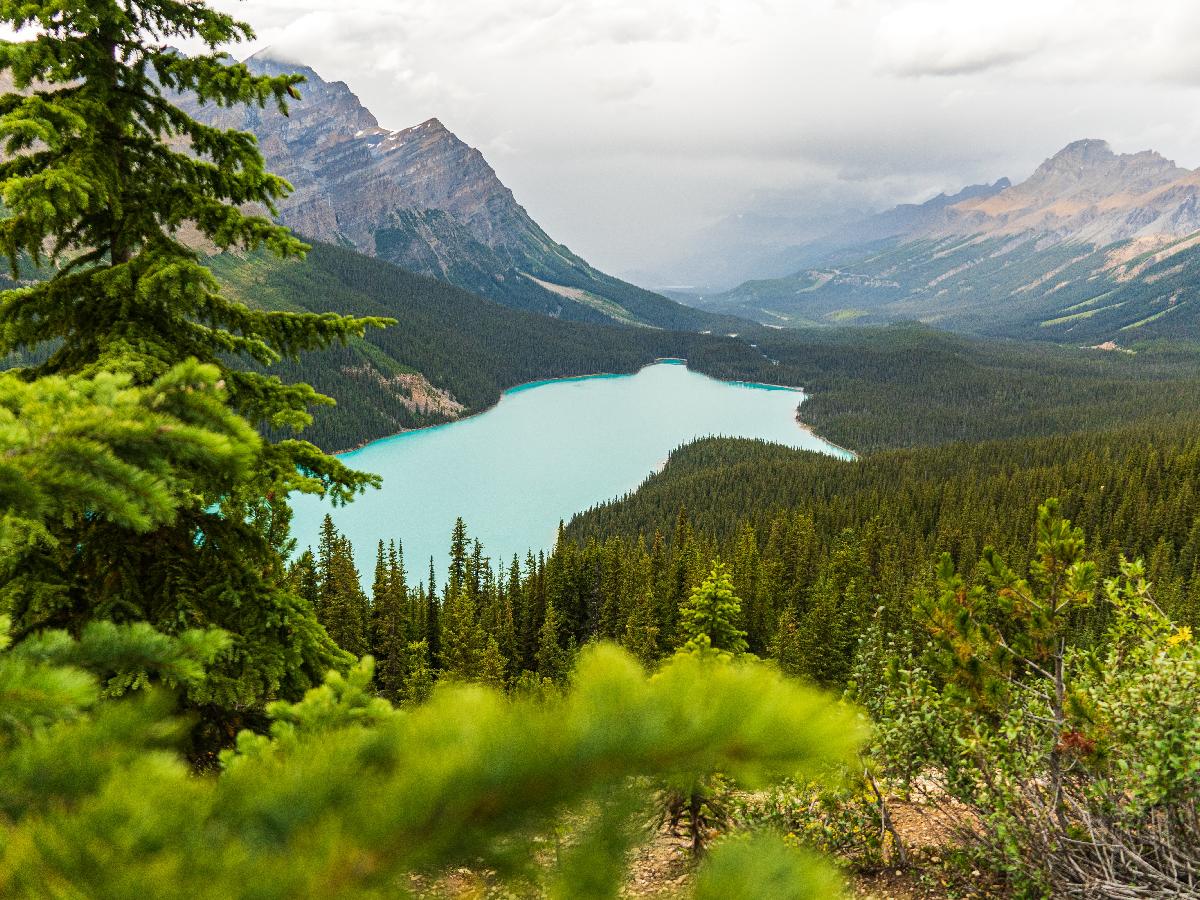 Everything You Need to Know Before Traveling to Banff