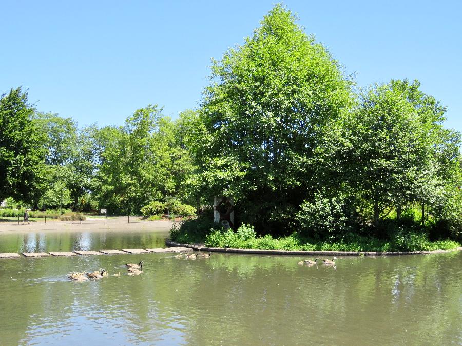 Duck Pond at Alton Baker Park