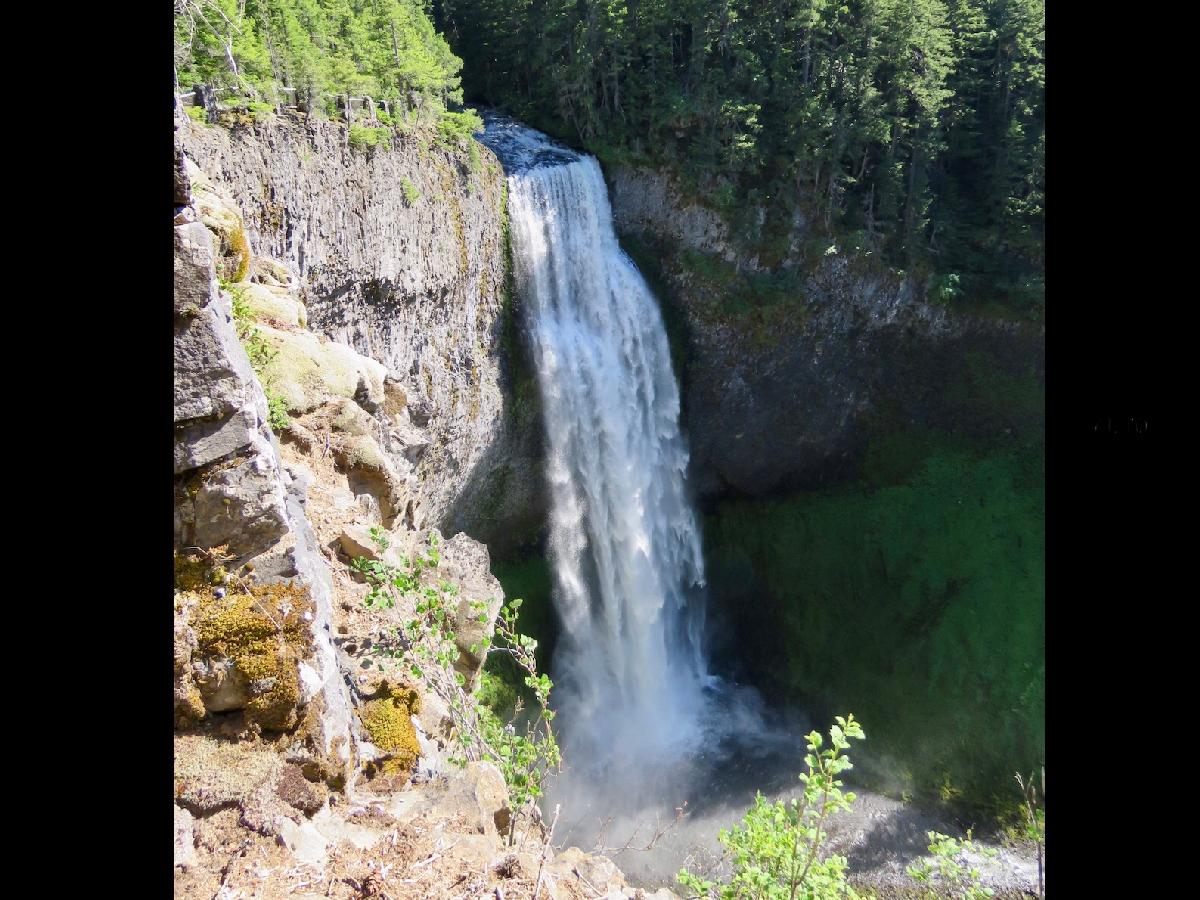 Watching Water Fall 286 Feet at Salt Creek Falls
