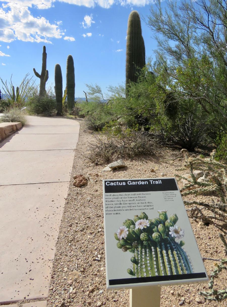 Cactus Garden Trail