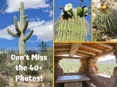2 Saguaro National Park Districts in 1 Incredible Itinerary