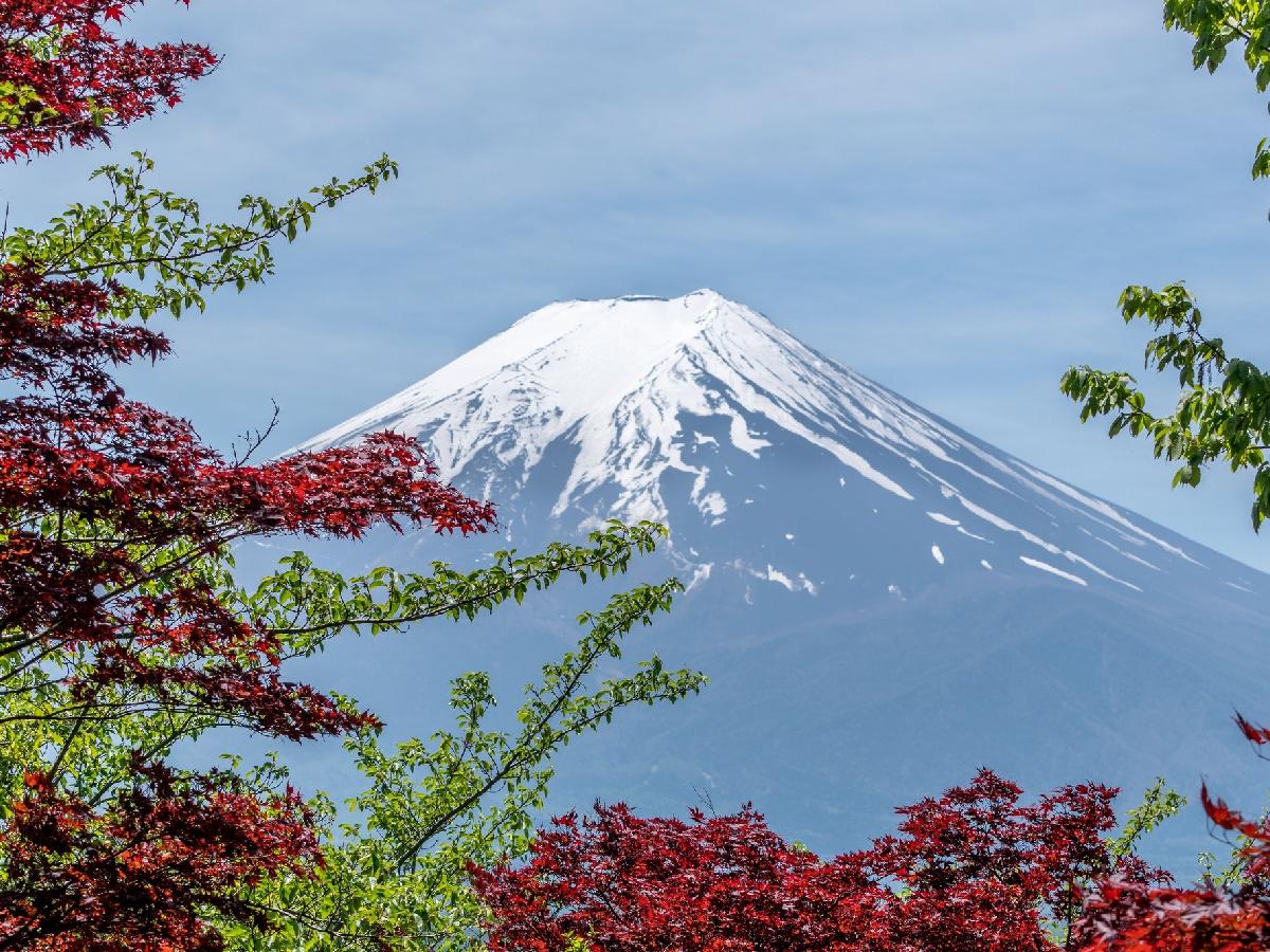 Explore More of Japan Than Just Tokyo