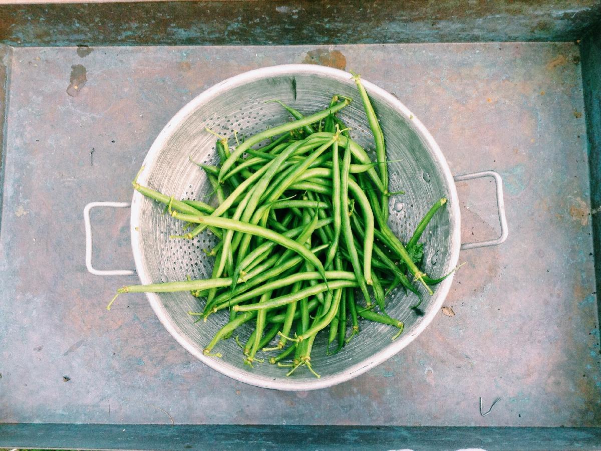 Super Easy Green Bean Salad: Perfect for Home or RV