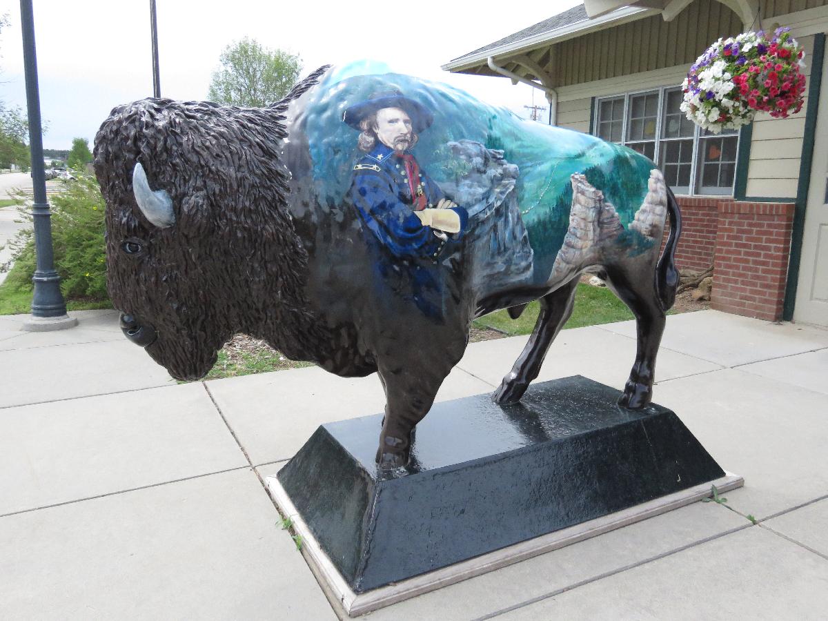 Custer's General Custer Buffalo