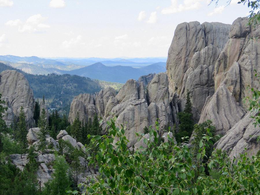 Traveling South on Needles Highway