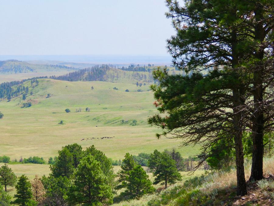 View over the Prairie from the Prairie Trail
