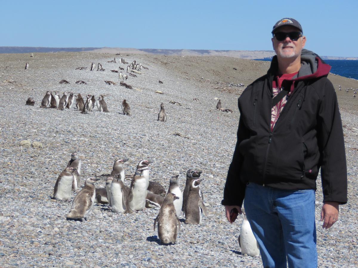 Penguin Colony at Puerto Madryn Was a Fun Morning