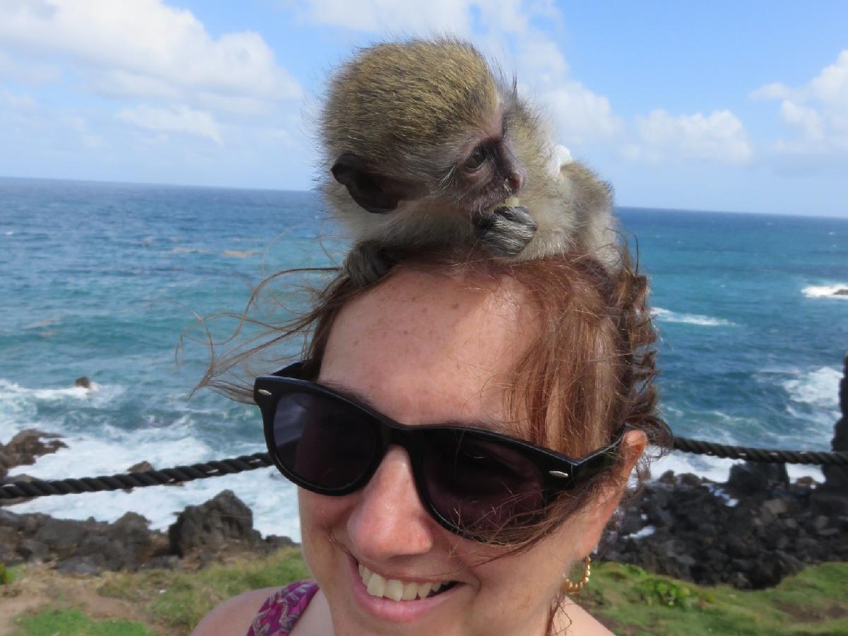 A Visit From a Monkey on St. Kitts