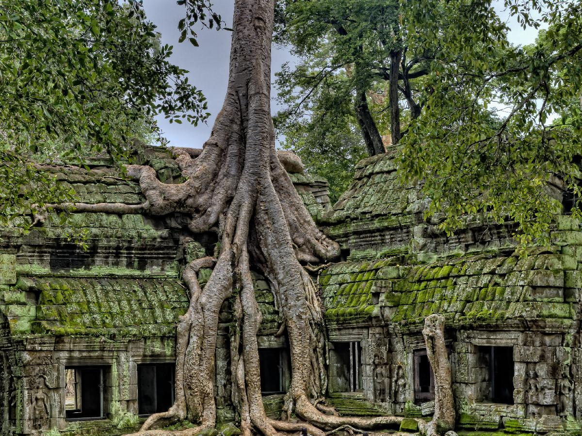 Totally Amazing Places to Visit in Cambodia