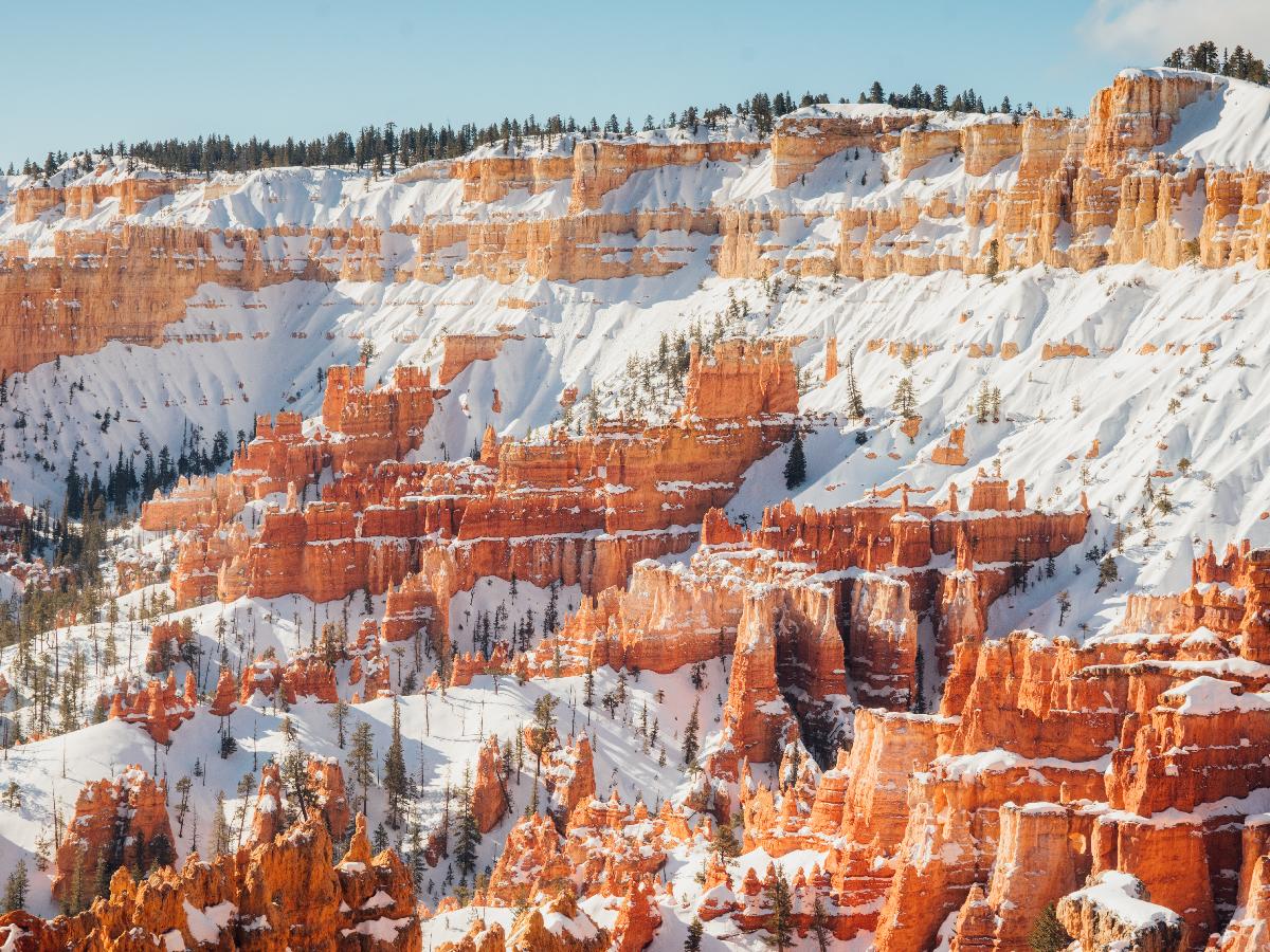Imagine Exploring a National Park during Winter