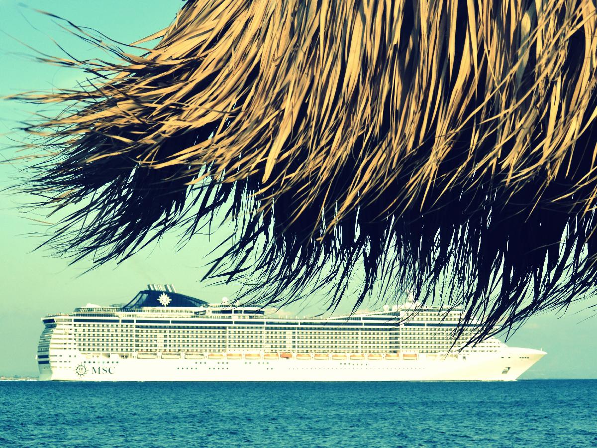 Realizing the Opportunities of Cruising in the Future