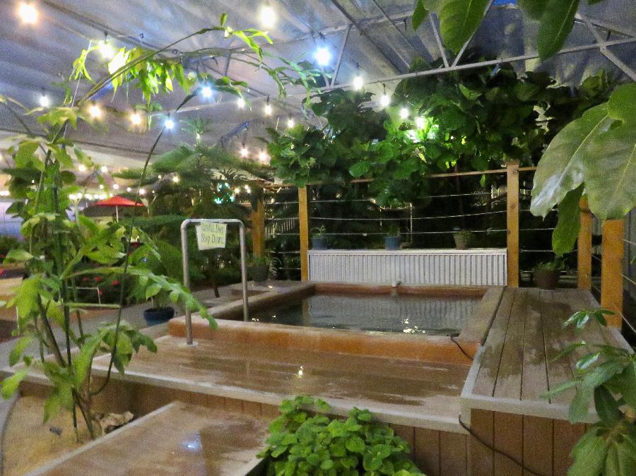 The Greenhouse at Sand Dunes Pool