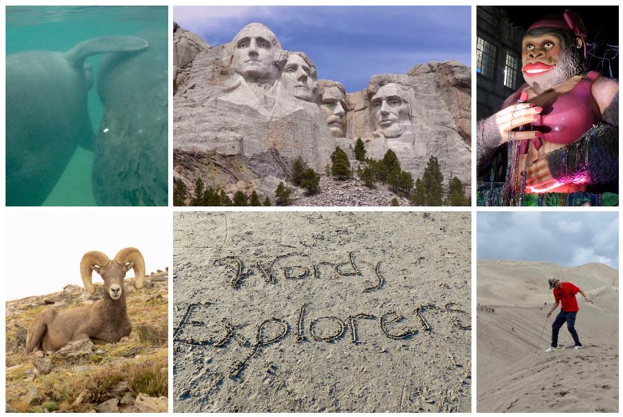 2020 Hindsight: The Wordy Explorers' Travel Year