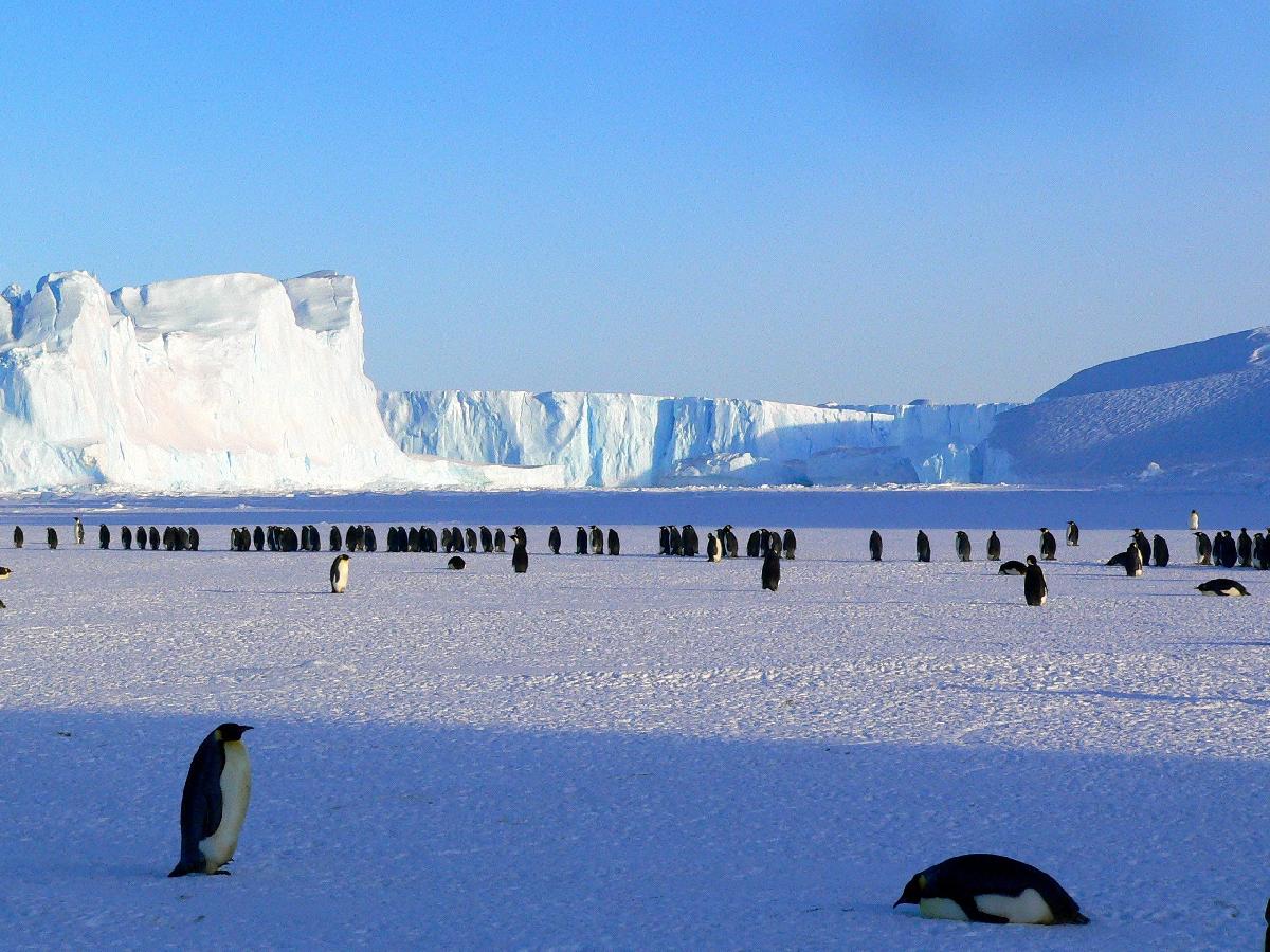 18 Days in the Antarctic Brings Peace of Mind