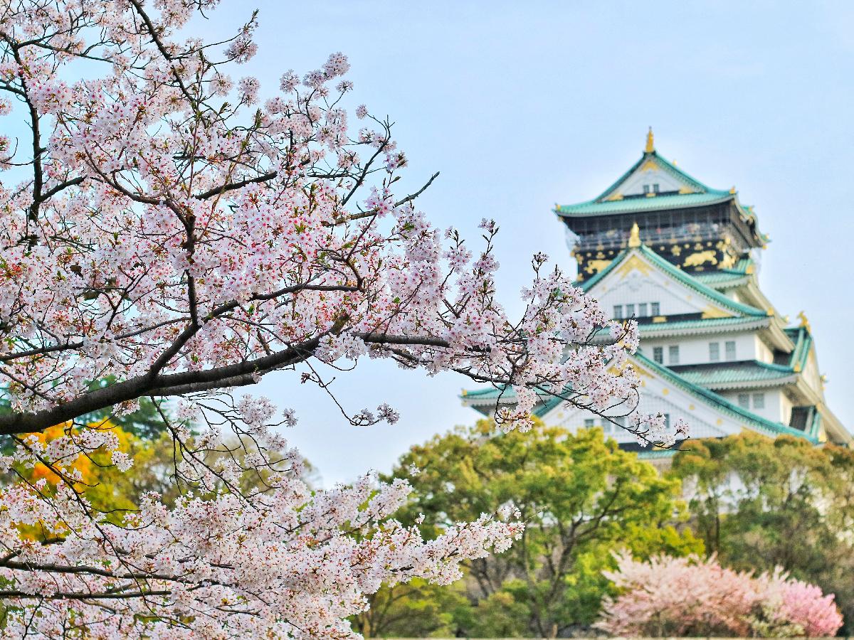 Cherry Blossoms in Japan: Where and When