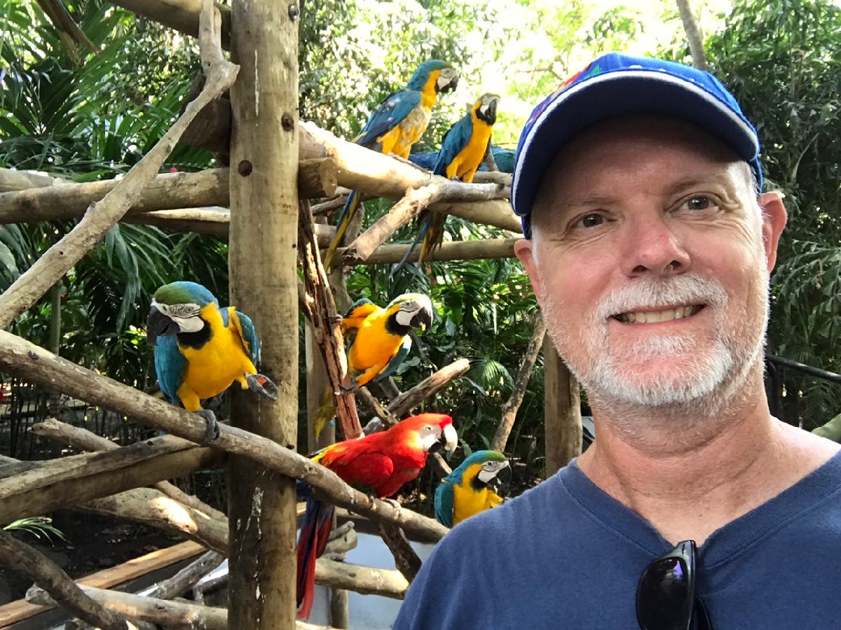 Parroting with Parrots in Cartagena's Cruise Terminal