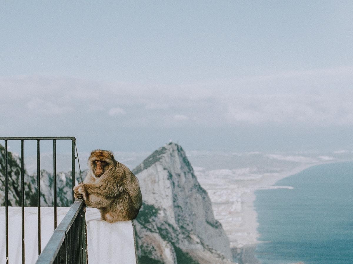 Must Do List for a Few Day Visit to Gibraltar